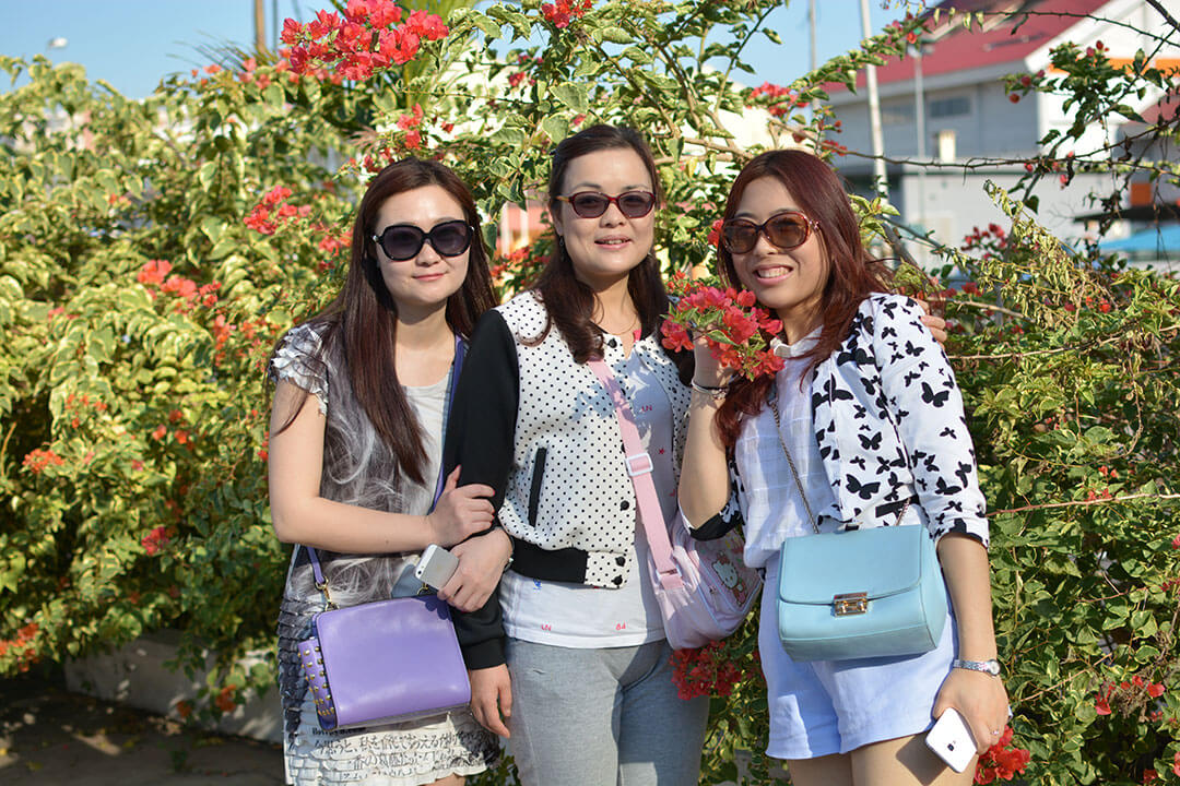 2015年顾迪新马旅游