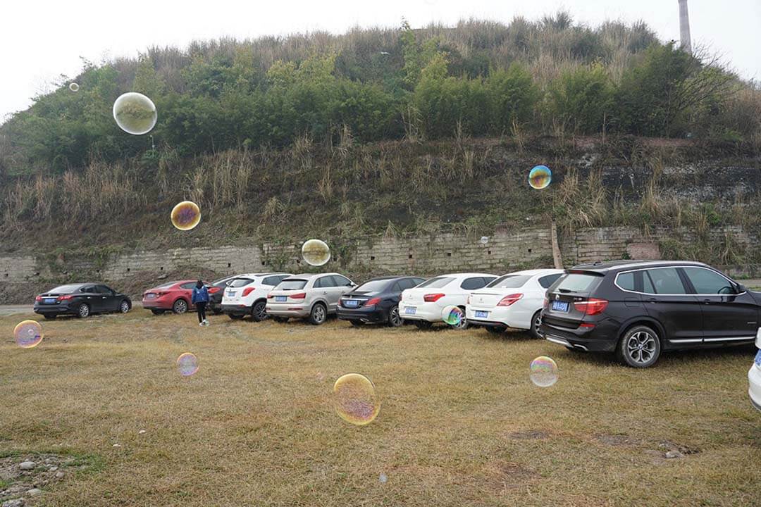 赏花踏青一日游