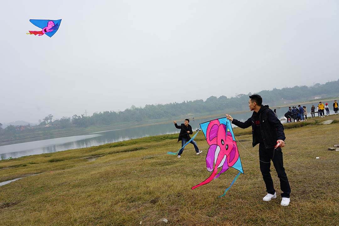 赏花踏青一日游
